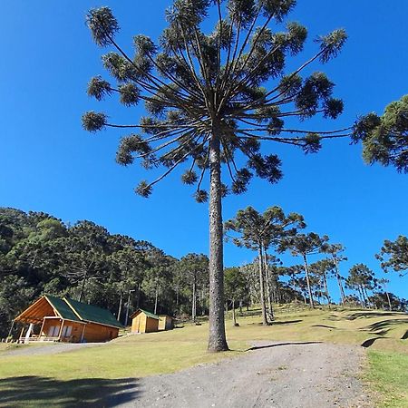 Casa De Campo Quinta Do Vale - Familia Urubici Zewnętrze zdjęcie