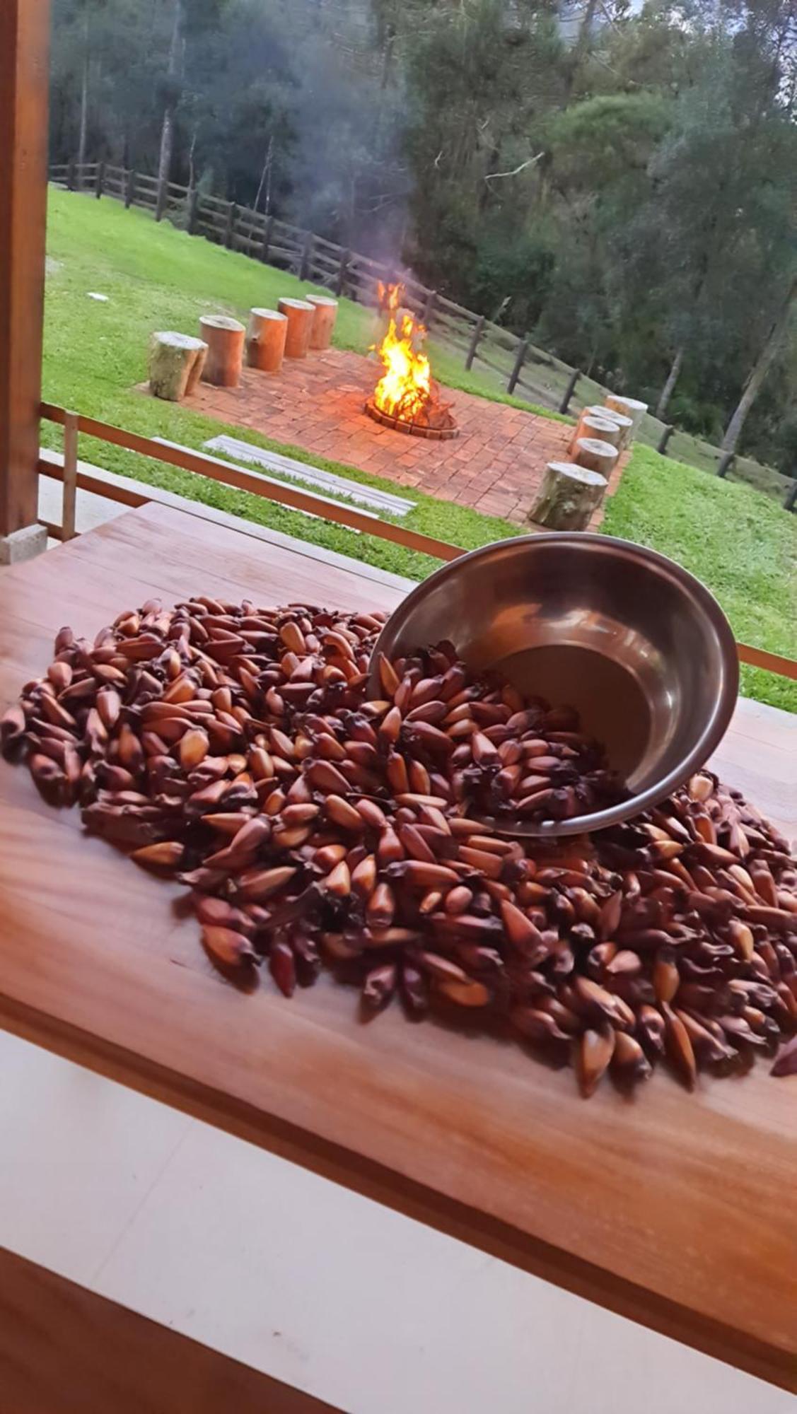 Casa De Campo Quinta Do Vale - Familia Urubici Zewnętrze zdjęcie