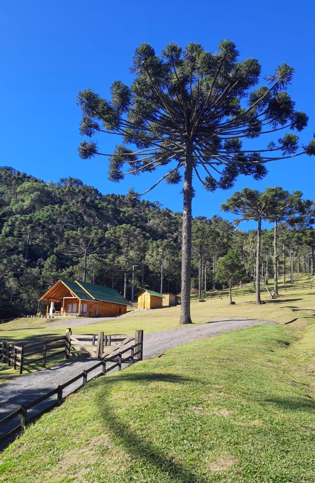 Casa De Campo Quinta Do Vale - Familia Urubici Zewnętrze zdjęcie
