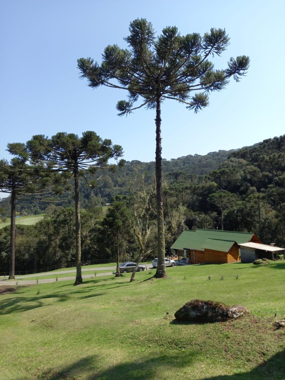 Casa De Campo Quinta Do Vale - Familia Urubici Zewnętrze zdjęcie