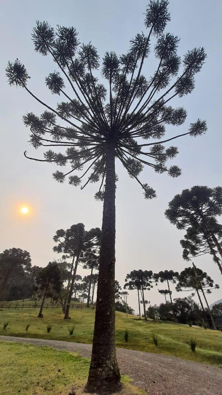 Casa De Campo Quinta Do Vale - Familia Urubici Zewnętrze zdjęcie